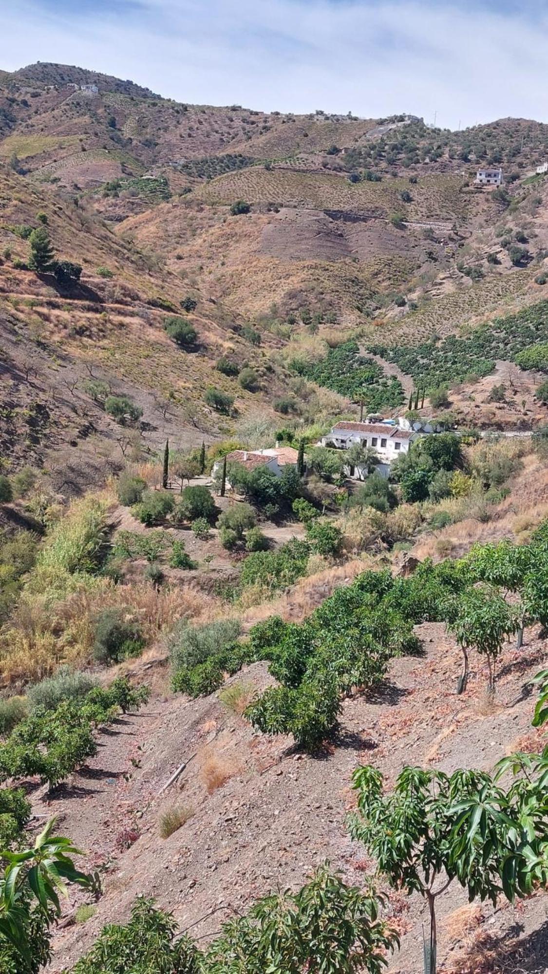 בית הארחה Borge 	Cortijo Lagar De Luisa מראה חיצוני תמונה