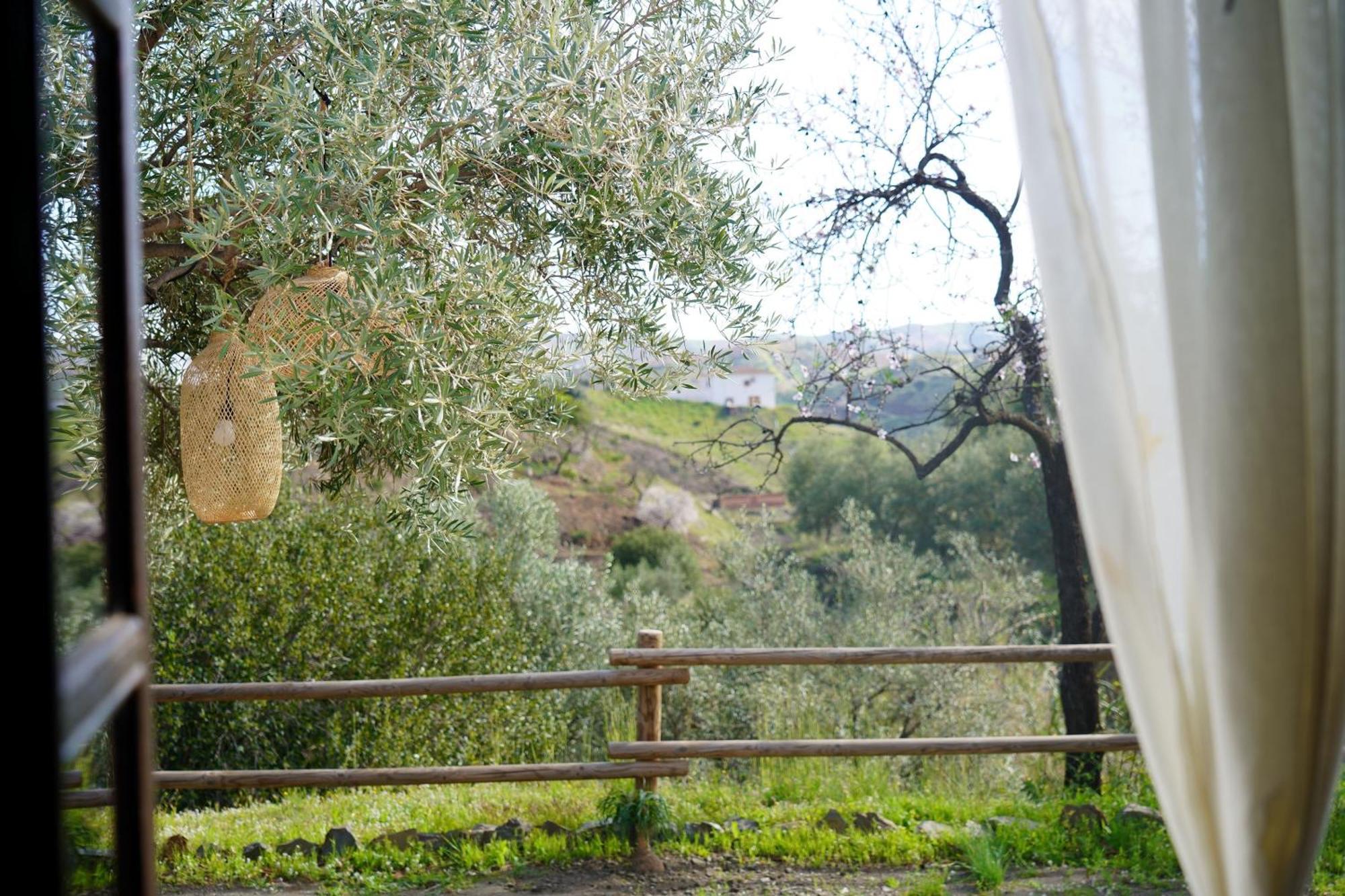 בית הארחה Borge 	Cortijo Lagar De Luisa מראה חיצוני תמונה